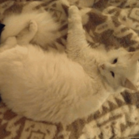 Not For Sale - Picture 2 of 2